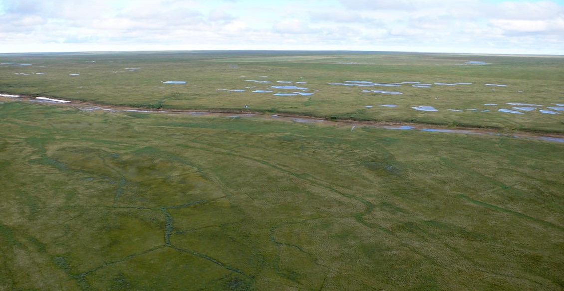 anwr_coastal_plain